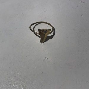 Shark Tooth Ring- Gold